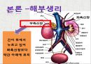 case study , ESRD, 간호과정 간호학과 5페이지