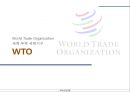 국제통상 체제의 변화 과정,GATT 체제,GATT의 의의,WTO 체제,WTO의 과제,WTO VS GATT,DDA 체제,DDA의 과제,DDA의 한계점 15페이지