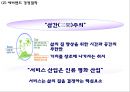 EVERLAND 에버랜드 성공비결과 에버랜드 마케팅 SWOT,STP,4P전략분석및 에버랜드 문제점과 해결방안연구 PPT 5페이지