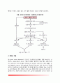 급성신부전의 원인적 분류(신전성 신부전, 신후성 신부전의 원인과 증상 및 치료방법) 5페이지