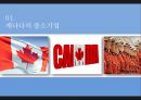 캐나다 구스와 캐나다 중소기업의 성공전략 (캐나다 구스) 3페이지