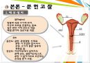 모성간호학 산부인과 분만 컨퍼런스 4페이지