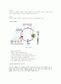 간디스토마 / 간흡충증 / 간흡충증 보건교육 6페이지