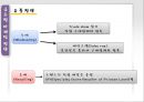 한국 패션 브랜드의 글로벌 마케팅 전략 : 한국 패션브랜드 미국진출 17페이지