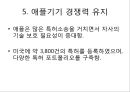 글로벌 IT기업의 특허전략 (글로벌 IT기업의 특허전략) 26페이지