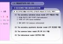 Dual Diagnosis Disorders (이중진단장애) -개입실천을 바탕으로 한 사례연구 11페이지