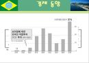 브라질 (국개 개황, 경제, 한국과의 관계, 투자 환경, 인센티브, 진출 사례) 8페이지