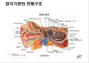 청각기관의 구조 및 장애발생 원인, 분류 20페이지