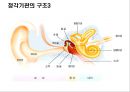 청각기관의 구조 및 장애발생 원인, 분류 23페이지