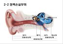청각기관의 구조 및 장애발생 원인, 분류 41페이지