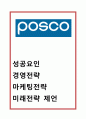 포스코 POSCO 기업분석,성공요인과 포스코 마케팅과 경영전략사례및 포스코 미래전략제언 1페이지