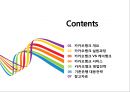 카카오뱅크 출범과 전략 [인터넷 은행,카카오뱅크,모바일 뱅크,핀테크,모바일 은행,케이뱅크,카카오,카카오페이] 2페이지