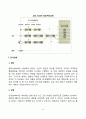 정보처리이론(인지과정, 인지단위) 3페이지