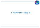 아프리카TV 성공비결과 아프리카TV 마케팅사례연구및 아프리카TV 향후방향제언 PPT 3페이지