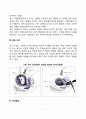 태내기 발달(태내발달단계, 태내발달에 영향을 미치는 요인, 태내환경이 태아에게 미치는 영향, 태내진단) 7페이지