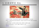 [중국현대사] 문화대혁명 [개요, 배경, 발단, 전개, 종식, 결과와 한계] 3페이지