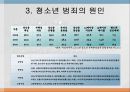 청소년범죄_및_사회복지적_해결방안 12페이지