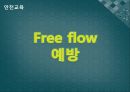 안전교육-Free flow 예방 1페이지