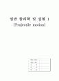 [물리 레포트] projectile-motion 결과 1페이지