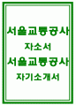 서울교통공사자소서자기소개서 서울교통공사자소서 서울교통공사자기소개서 서울교통공사 사무직자소서 서울교통공사 신입사원 자기소개서 서울교통공사 승무직자소서 서울교통공사 합격자기소개서 1페이지