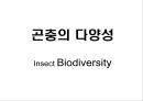 곤충의 다양성Insect Biodiversity 1페이지