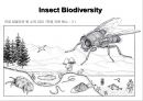 곤충의 다양성Insect Biodiversity 3페이지