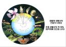 곤충의 다양성Insect Biodiversity 4페이지