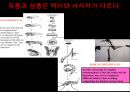 곤충의 다양성Insect Biodiversity 13페이지