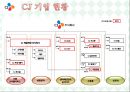 기업의 다각화 전략 -CJ그룹- 5페이지