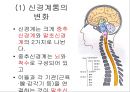 노화의 주요측면과 노화이론 33페이지