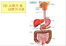 노화의 주요측면과 노화이론 36페이지