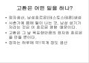 노화의 주요측면과 노화이론 40페이지