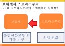 유럽의 수도 브뤼셀 20페이지