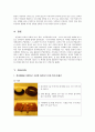 삼국지의 한과문화페스티벌과 포천한과박물관 방문기 -한과에 대한 배경지식과 경험을 통한 한과의 세계화 방향에 대한 연구- 15페이지