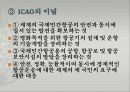 국제항공기구와 항공관련 조약 [IATA 설립배경, 설립목적, 조직, 구성, ICAO, FAI, FIATA, 와르소 조약, 바르샤바 조약, 헤이그 의정서, 몬트리올 협정, 과달라하라 조약, 과테말라 의정서] 6페이지