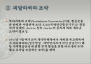 국제항공기구와 항공관련 조약 [IATA 설립배경, 설립목적, 조직, 구성, ICAO, FAI, FIATA, 와르소 조약, 바르샤바 조약, 헤이그 의정서, 몬트리올 협정, 과달라하라 조약, 과테말라 의정서] 28페이지