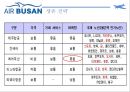 항공사 전략적 제휴 25페이지