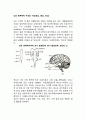 뇌의 해부학적 구조와 기능(후뇌, 중뇌, 전뇌) 1페이지