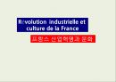 프랑스 산업혁명과 문화 1페이지
