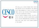 CESCO 세스코 성공요인과 세스코 마케팅 SWOT,STP,4P전략분석및 세스코 미래전략제언 PPT 4페이지