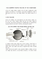 시각의 신경해부학적 구조(안구의 구조와 망막, 안구 이후 시각정보처리경로) 1페이지