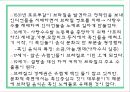 브라질 음식문화의 이해 : 브라질 음식문화 11페이지