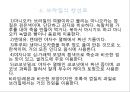 브라질 음식문화의 이해 : 브라질 음식문화 24페이지