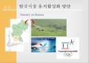 벤엔제리 한국 유치 마케팅 전략 [벤엔제리 ] 20페이지