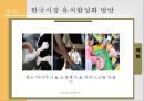 벤엔제리 한국 유치 마케팅 전략 [벤엔제리 ] 23페이지