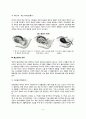 출산의 징후, 출산과정, 출산 시 문제 4페이지