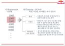 레드불 성공비결과 레드불 SWOT,STP,4P분석및 마케팅사례분석과 레드불 향후전략제언 PPT 16페이지