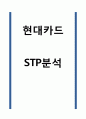 현대카드 STP분석 1페이지