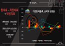 시장조사와 재무분석을 통한 강원랜드 경영분석 17페이지