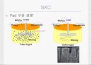 [분석/조사] Pad 설명과 이해 19페이지